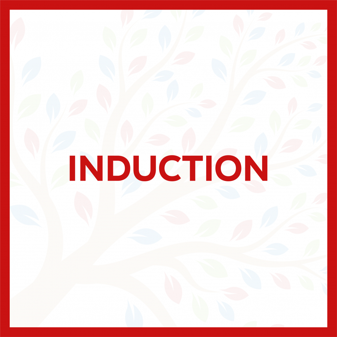 Madrasah_Vali_Logo_WEB-13